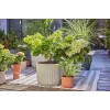 Laistymo sistema Gardena 13400-20 Žarna 15 m Juoda Žalia