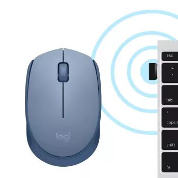 Pelė Logitech M171 RF belaidė optinė