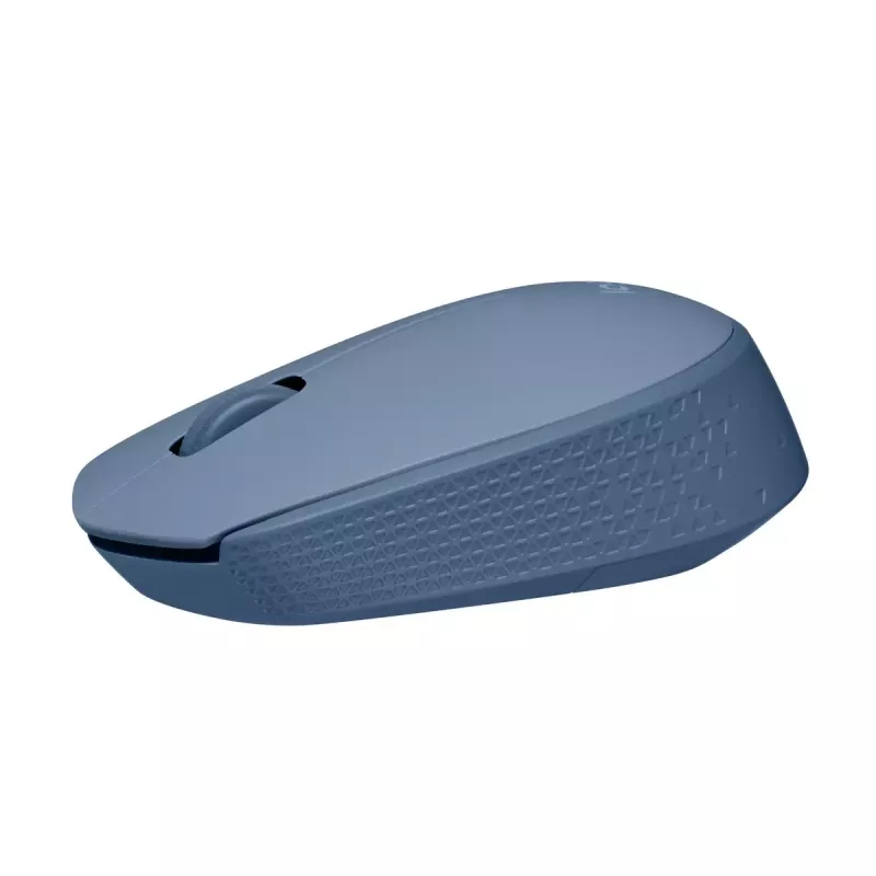 Pelė Logitech M171 RF belaidė optinė