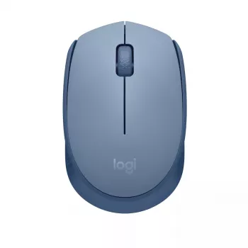 Pelė Logitech M171 RF belaidė optinė