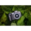 Canon EOS R8 + RF 24-50mm F4.5-6.3 IS STM rinkinys, 24,2 MP, 6000 x 4000 taškų, CMOS, 4K Ultra HD, jutiklinis ekranas, juoda