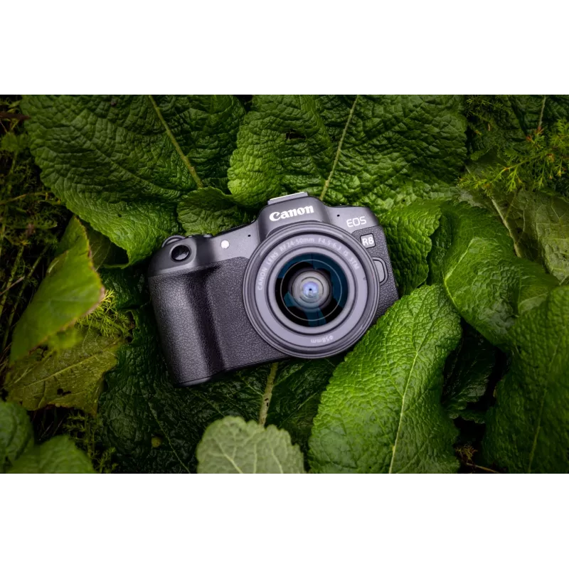Canon EOS R8 + RF 24-50mm F4.5-6.3 IS STM rinkinys, 24,2 MP, 6000 x 4000 taškų, CMOS, 4K Ultra HD, jutiklinis ekranas, juoda