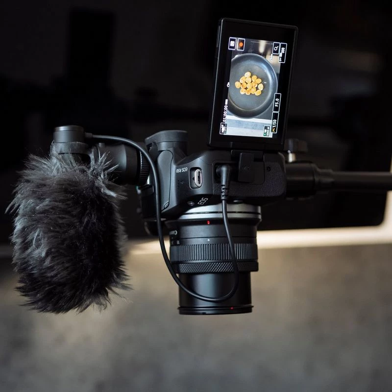 Canon EOS R50, juoda + RF-S 18-45mm F4.5-6.3 IS STM rinkinys, 24,2 MP, 6000 x 4000 pikselių, CMOS, 4K Ultra HD, liečiamas ekranas, juoda