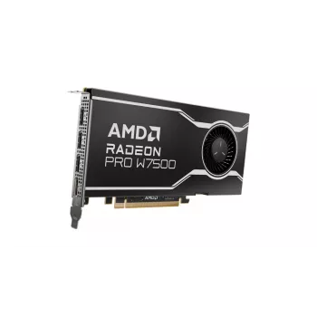 AMD Radeon Pro W7500 8GB GDDR6 PCI-E 4.0 4xDP profesionalios grafikos plokštė