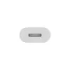 APPLE USB-C į Lightning adapteris