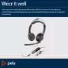 HP Poly Blackwire 5220 Stereo ausinės su USB-C, 3,5 mm lizdu ir USB-C/A adapteriu