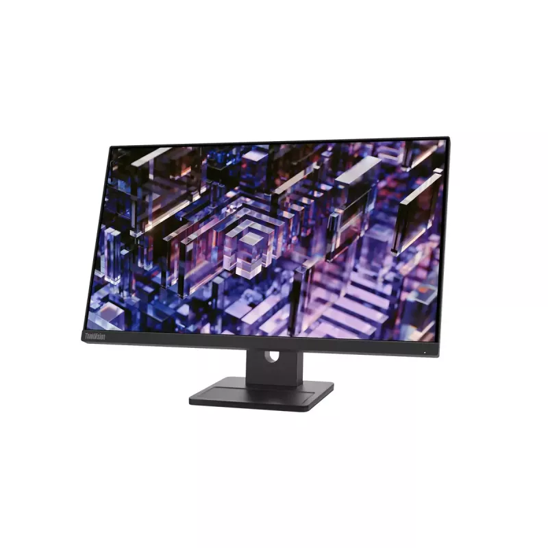 Monitorius Lenovo ThinkVision E24q-30 23.8 colio 2K Ultra HD LED 2560 x 1440