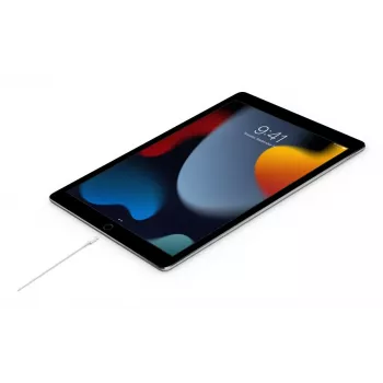 APPLE USB-C į Lightning laidas 2 m