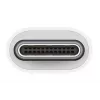 APPLE USB-C į USB adapteris