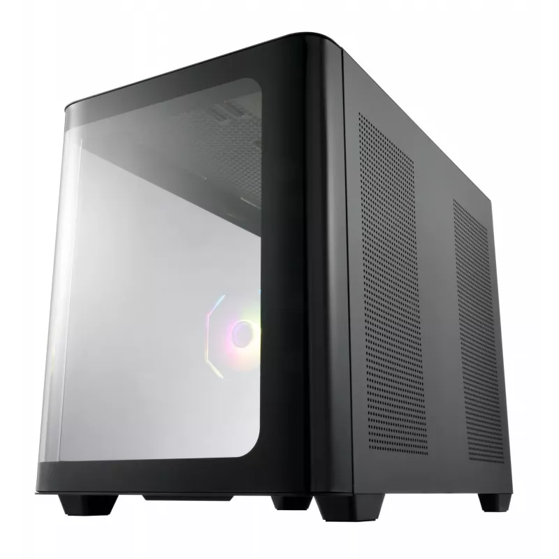 Korpusas FSP S380-BA Mini Tower mITX, mATX Juodas ARGB