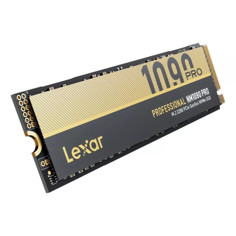 LEXAR SSD Professional NM1090 PRO 4TB PCIe Gen5 x4 NVMe M.2 2280