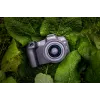Veidrodinis fotoaparatas Canon EOS R8, 24,2 MP, 6000 x 4000 pikselių, CMOS, 4K Ultra HD, liečiamas ekranas, juodas