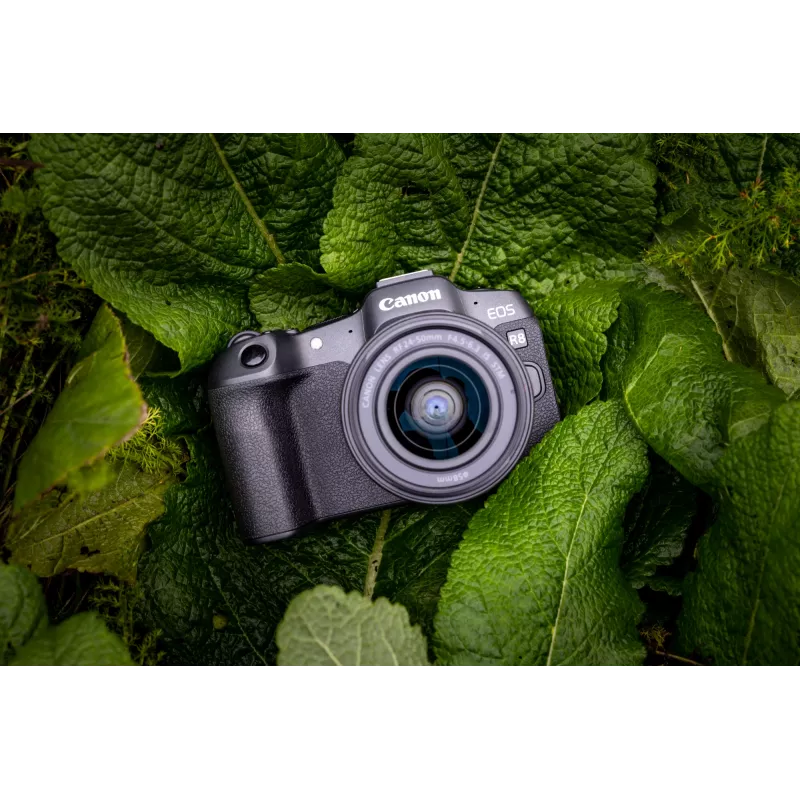Veidrodinis fotoaparatas Canon EOS R8, 24,2 MP, 6000 x 4000 pikselių, CMOS, 4K Ultra HD, liečiamas ekranas, juodas