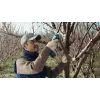 Bosch Pro Pruner Professional akumuliatorinė žoliapjovė 2,5 cm 12 V Ličio jonų (Li-Ion) Mėlyna