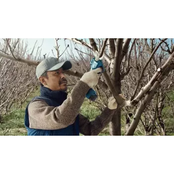 Bosch Pro Pruner Professional akumuliatorinė žoliapjovė 2,5 cm 12 V Ličio jonų (Li-Ion) Mėlyna