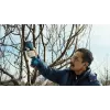 Bosch Pro Pruner Professional akumuliatorinė žoliapjovė 2,5 cm 12 V Ličio jonų (Li-Ion) Mėlyna