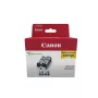 Canon rašalinė kasetė PGI-520 juoda dviejų pakete (2932B019)