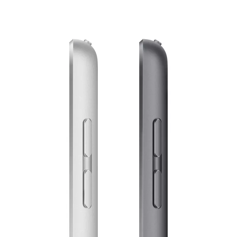 APPLE iPad 10,2 colio 9-os kartos Wi-Fi 64GB kosminė pilka