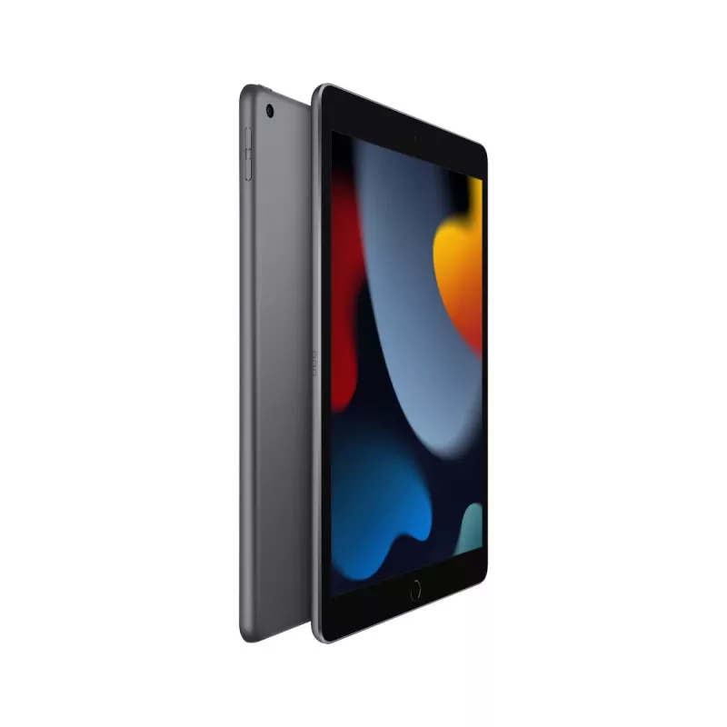 APPLE iPad 10,2 colio 9-os kartos Wi-Fi 64GB kosminė pilka