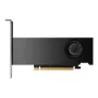 PNY NVIDIA RTX 2000 Ada vaizdo plokštė - 16 GB GDDR6 4x mDP