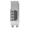 PNY NVIDIA RTX 2000 Ada vaizdo plokštė - 16 GB GDDR6 4x mDP