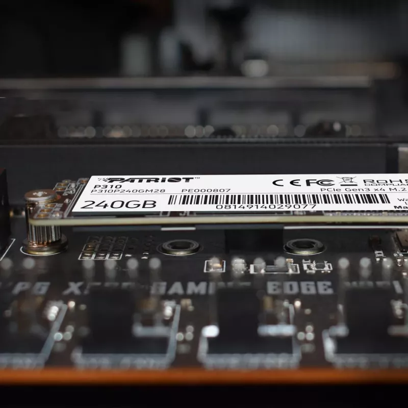 Patriot Memory P310 SSD 240GB (PCI-E 3.0 x4, NVMe 1.3, M.2 2280)