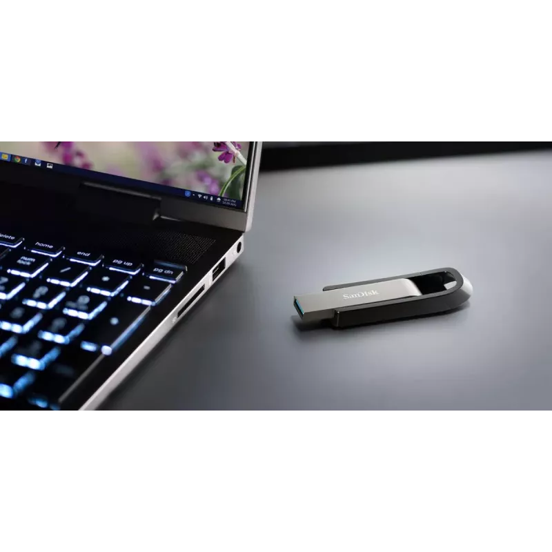 WESTERN DIGITAL SanDisk Ultra Extreme GO - 256GB USB atmintukas - USB 3.2