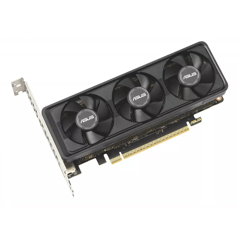 ASUS RTX5060-O8G-LP-BRK NVIDIA GeForce RTX 5060 8 GB GDDR7 vaizdo plokštė