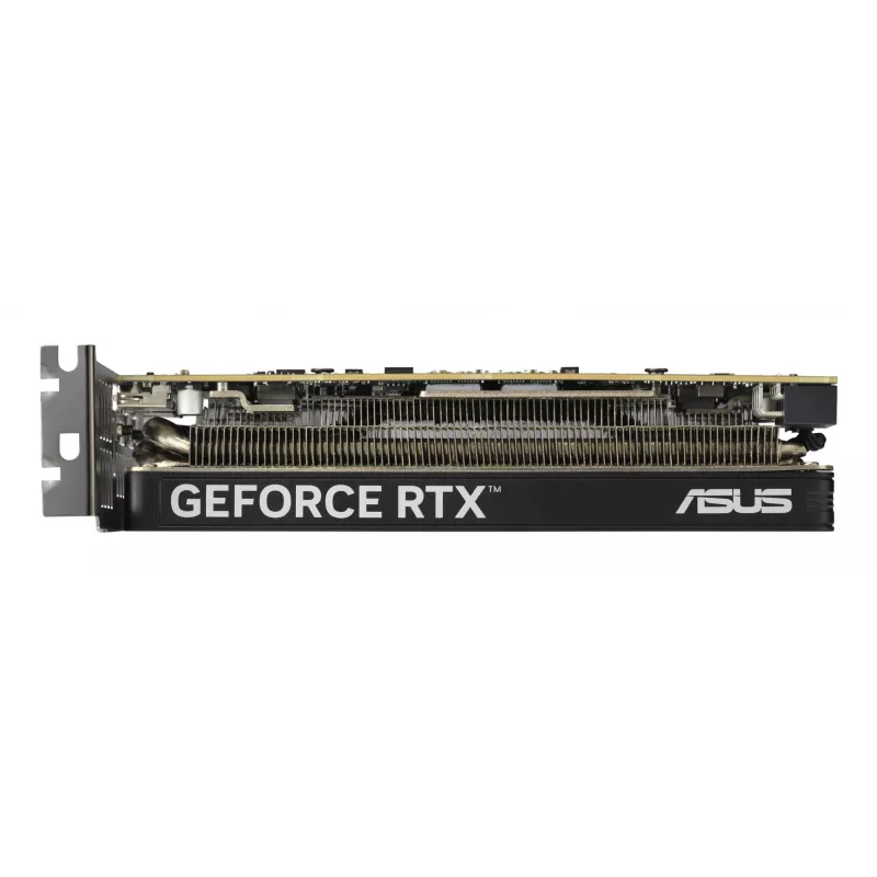 ASUS RTX5060-O8G-LP-BRK NVIDIA GeForce RTX 5060 8 GB GDDR7 vaizdo plokštė