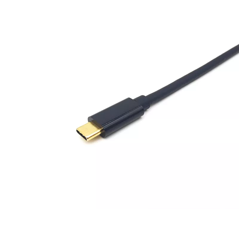 Equip USB-C į DisplayPort laidas, vyriškas/vyriškas, 2,0 m, 4K/60Hz