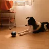 Stebėjimo robotas Enabot EBO AIR 2 – mobili namų kamera, rožinė