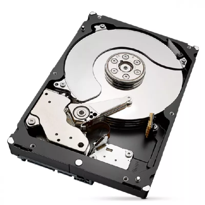 Seagate IronWolf Pro ST4000NT001 vidinis kietasis diskas 4 TB 7200 RPM 256 MB 3,5 colio