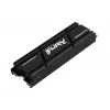 Kingston Technology 2000G RENEGADE PCIe 4.0 NVMe SSD su radiatoriumi