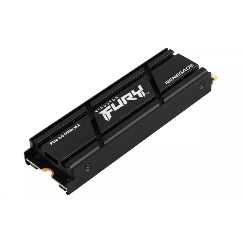 Kingston Technology 2000G RENEGADE PCIe 4.0 NVMe SSD su radiatoriumi