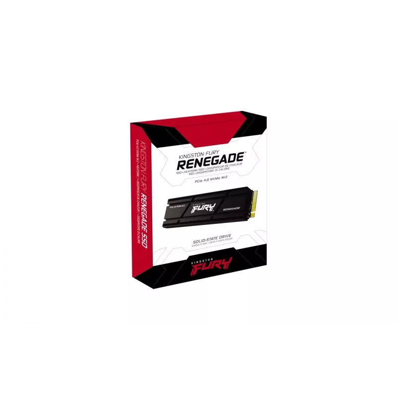 Kingston Technology 2000G RENEGADE PCIe 4.0 NVMe SSD su radiatoriumi