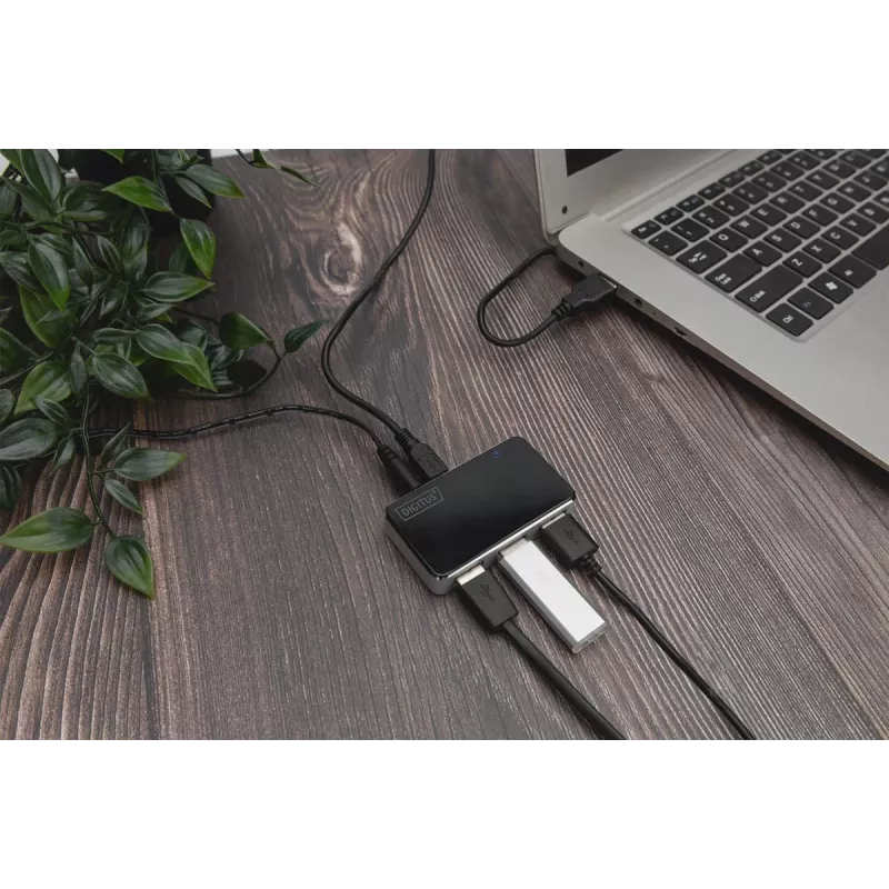 DIGITUS USB 2.0 4 prievadų USB šakotuvas (da-70220)