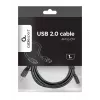 GEMBIRD USB 2.0 AM – Type-C laidas 1 m