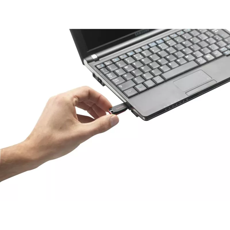 WESTERN DIGITAL SanDisk Cruzer Blade 128GB USB atmintukas USB 2.0
