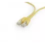 Gembird PP6U-1M tinklo kabelis RJ-45 Cat6 1m geltonas