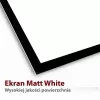 Projekcinis ekranas ART ER T100 4:3