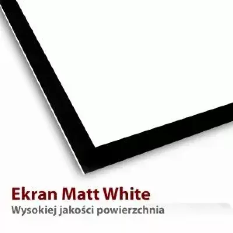 Projekcinis ekranas ART ER T100 4:3