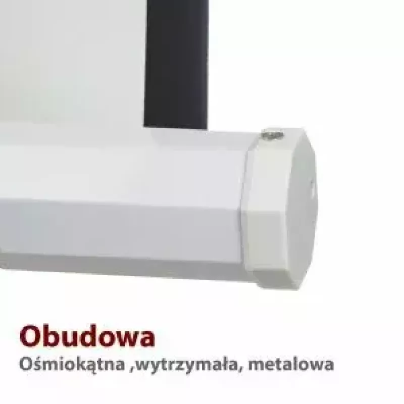Projekcinis ekranas ART ER T100 4:3