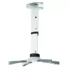 Techly projektoriaus lubų laikiklio prailginimas 30-37 cm sidabrinis ICA-PM 102S