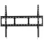 Techly sieninis laikiklis LED LCD TV 42-80 col. itin plonas fiksuotas H600mm ICA-PLB 860