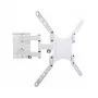 Techly ICA-PLB-136MW TV laikiklis 139,7 cm (55 col.) Baltas