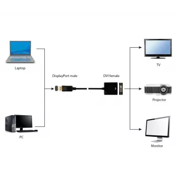 GEMBIRD DisplayPort į DVI adapterio laidas - juodas