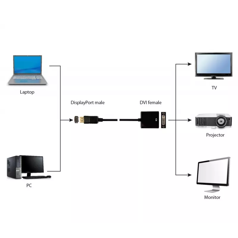 GEMBIRD DisplayPort į DVI adapterio laidas - juodas