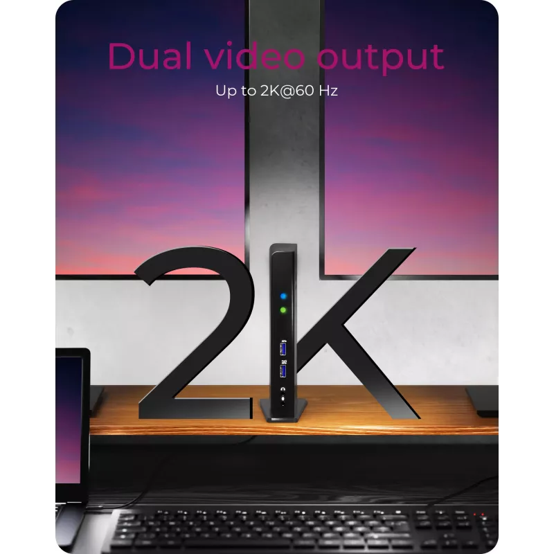 ICY BOX IB-DK2241AC USB 3.2 Gen 1 (3.1 Gen 1) Type-A juodas dokas