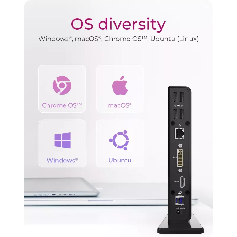 ICY BOX IB-DK2241AC USB 3.2 Gen 1 (3.1 Gen 1) Type-A juodas dokas