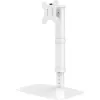 Techly ICA-LCD 260 monitor stovas 68.6 cm (27 col.) stalas Baltas